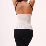 High Quality Adjustable Waist Trimmer Belt