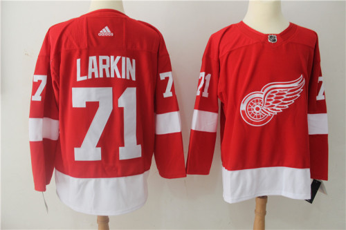 Detroit Red Wings Dyan Larkin Hockey  JERSEY