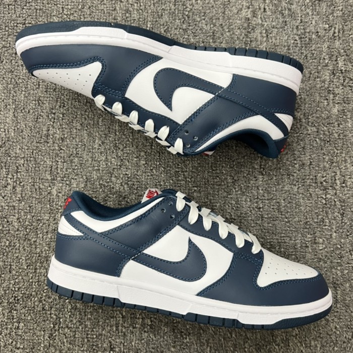 Nike Dunk Low Valerian Blue