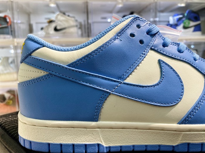 Nike Dunk Low Coast (W)