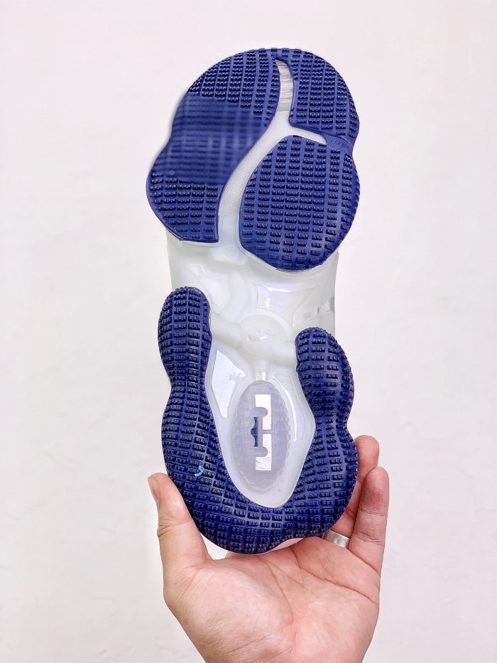 Nike Lebron 19 Space Jam