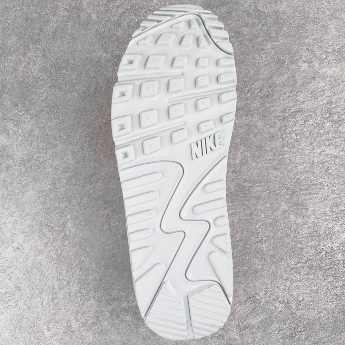 Nike Air Max 90 Euro Tour (2020)