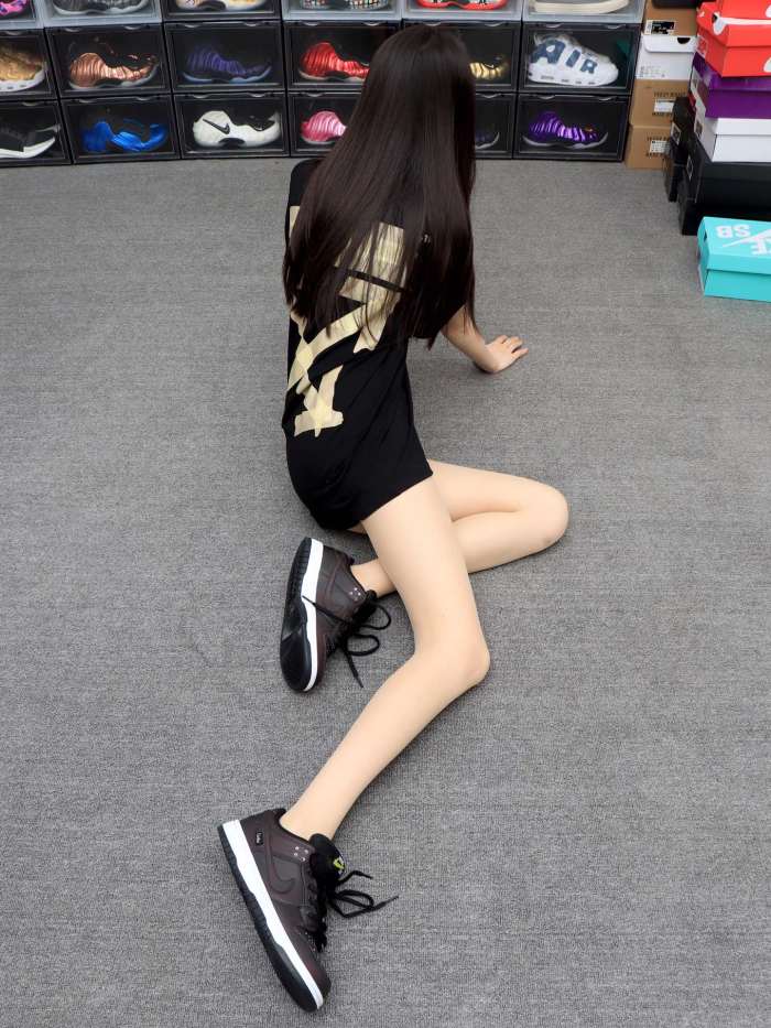 Nike Dunk SB Low Civilist