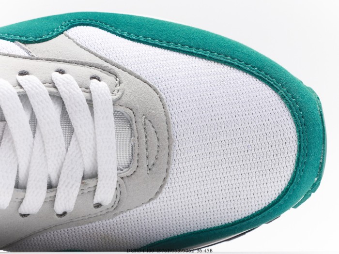 Nike Air Max 1 Anniversary Green (2020)