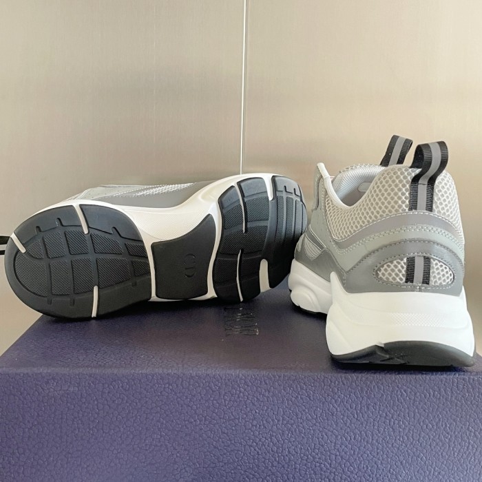 Dior B22 Grey White