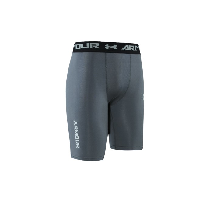 Sportswear Under Armour Y121