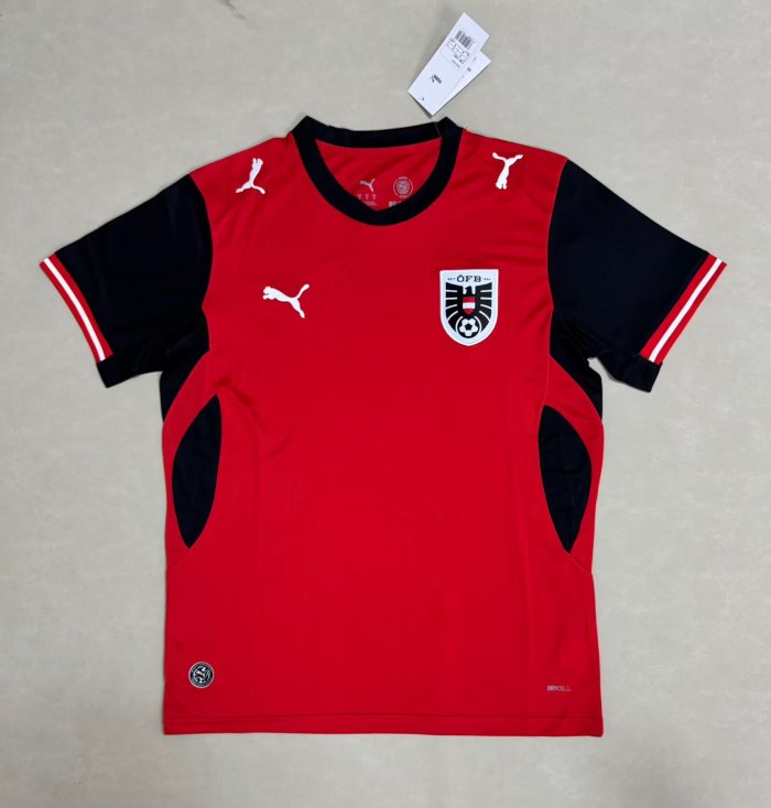 PUMA Soccer Jerseys Men's PUMA Red PUMA Black Moderate