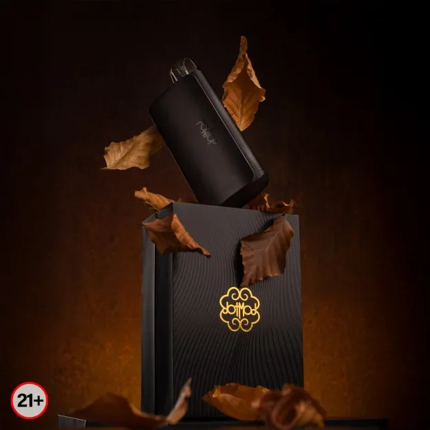 DOTMOD DOTPOD GO 主機+行動電源