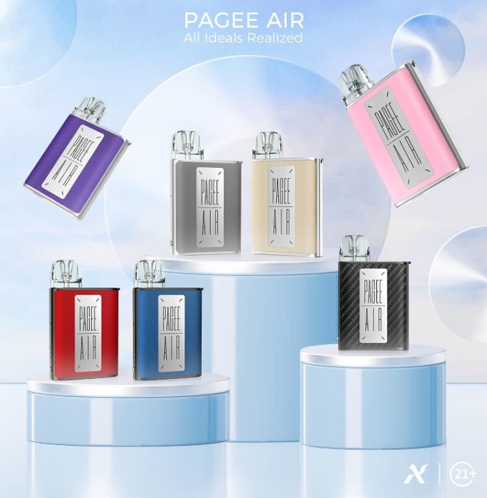 NEVOKS PAGEE AIR POD KIT 佩奇 參考 APX C1