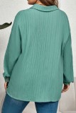 Women's Round Neck Pleated Long Sleeve Top