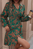 V-Neck Long Sleeved Printed Dress