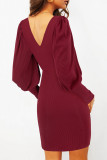 Round Neck Lantern Long Sleeve Knitted Dress