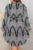 High Waisted Long Sleeved V-Neck Dress