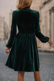 Velvet Long Sleeved Fashionable Dress