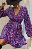 V neck Leopard Long Sleeve Dress