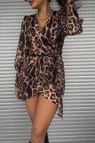 Leopard Print V-Neck Long Sleeved Dress