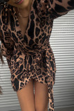 Leopard Print V-Neck Long Sleeved Dress