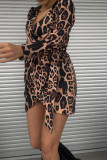 Leopard Print V-Neck Long Sleeved Dress