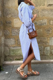 Striped Printed Lapel Shirt Dress