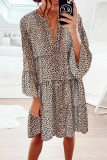 Leopard Print V-Neck Loose Dress