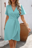 Deep V-Neck Waist Cinched Pleated Dress