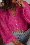 Hollow Lace V-Neck Long Sleeved Shirt