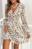 Leopard Print Long Sleeved Waist Cinching Dress