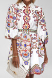 V-Neck Lantern Sleeve Printed Waist Cinching Dress
