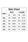 V-Neck Embroidered Flower Lantern Long Sleeve T-Shirt