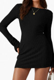 Long Sleeved Slim Knit Mini Dress