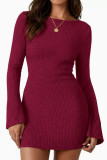 Long Sleeved Slim Knit Mini Dress