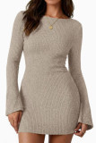 Long Sleeved Slim Knit Mini Dress