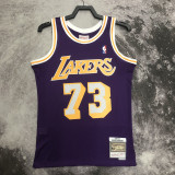 1998/1999 LAKERS ROOMAN #73 Purple Retro Top Quality Hot Pressing NBA Jersey(圆领）