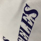 22/23 LAKERS DAVIS #3 White City Edition Top Quality Hot Pressing NBA Jersey