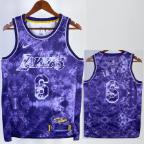 22/23 LAKERS JAMES #6 Purple Top Quality Hot Pressing NBA Jersey (荣耀版)