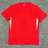 2024 Turkey Home Fans Soccer Jersey