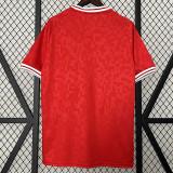 2024 Denmark Home Fans Soccer Jersey