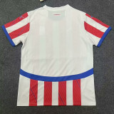 24/25 Paraguay  Home  Fans Soccer Jersey