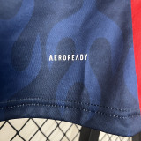 24/25 Japan Home Fans Soccer Jersey