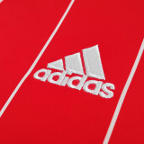 2015/2016  Wales  Home Retro Soccer Jersey