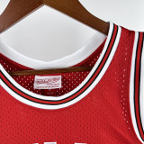 16/17 Bulls Wade Red # 3  Heat Pressed Retro NBA Jersey