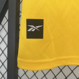 24/25  Panama Yellow Fans Soccer Jersey（圆领）