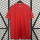 24/25  Panama Red Fans Soccer Jersey（圆领）