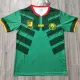 2022 Cameroon Home Fans Soccer Jersey