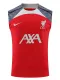 24/25 LIV Red Gray Shoulder  Tank top Training Shirts（灰肩）