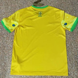 2024 Brazil Christ statue Yellow Special Edition  Fans Soccer Jersey(黄色）
