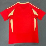 24/25 Standard Liege Home Fans Soccer Jersey