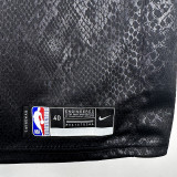 LAKERS BROWNIES # 9 Serpentine Top Quality Hot Pressing NBA Jersey蛇纹