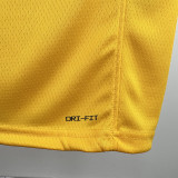 22/23 LAKERS BROWNIES # 9 Yellow Top Quality Hot Pressing NBA Jersey(圆领)