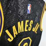 LAKERS BROWNIES # 9 Serpentine Top Quality Hot Pressing NBA Jersey蛇纹
